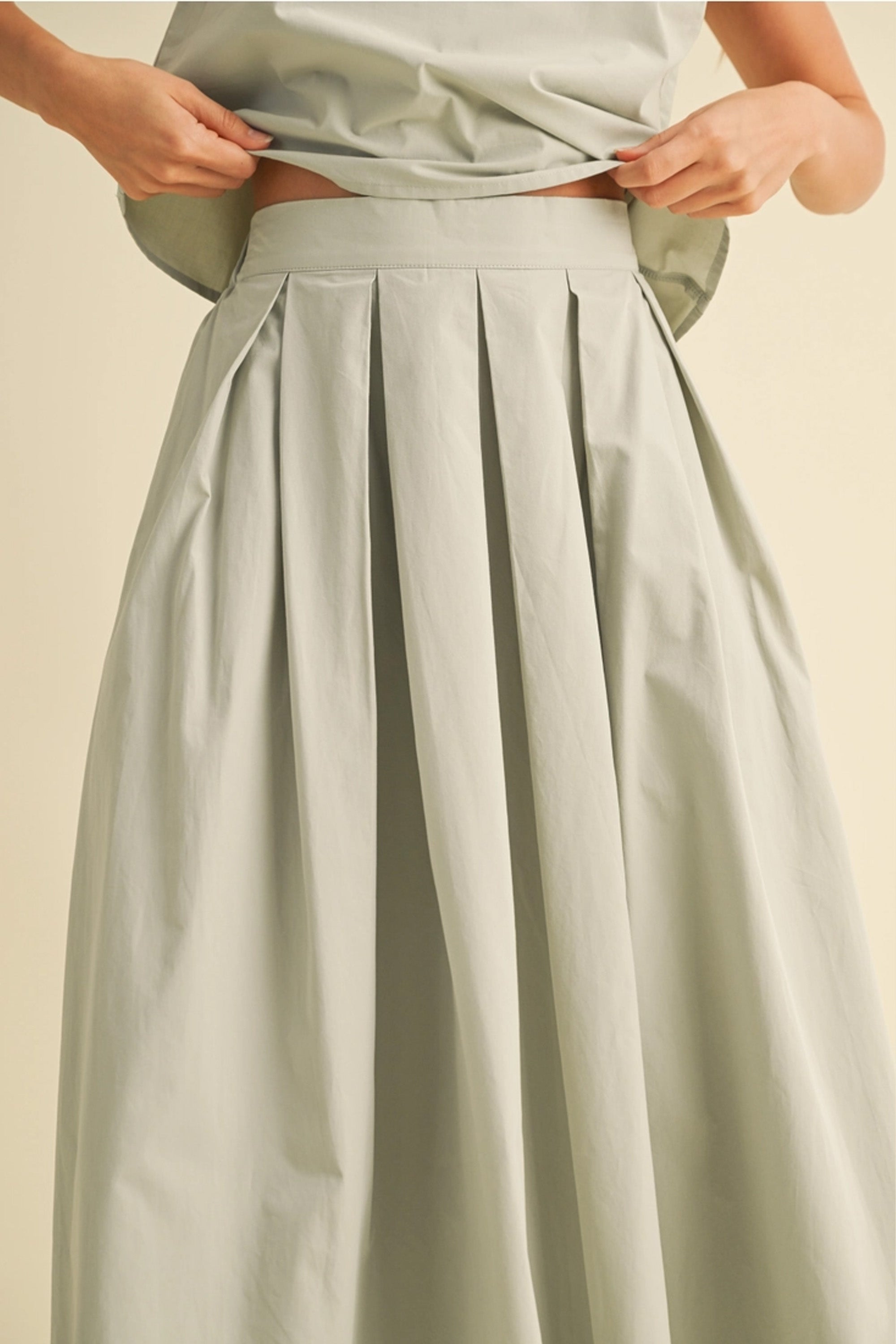 Top and Pleated Skirt Gray Set